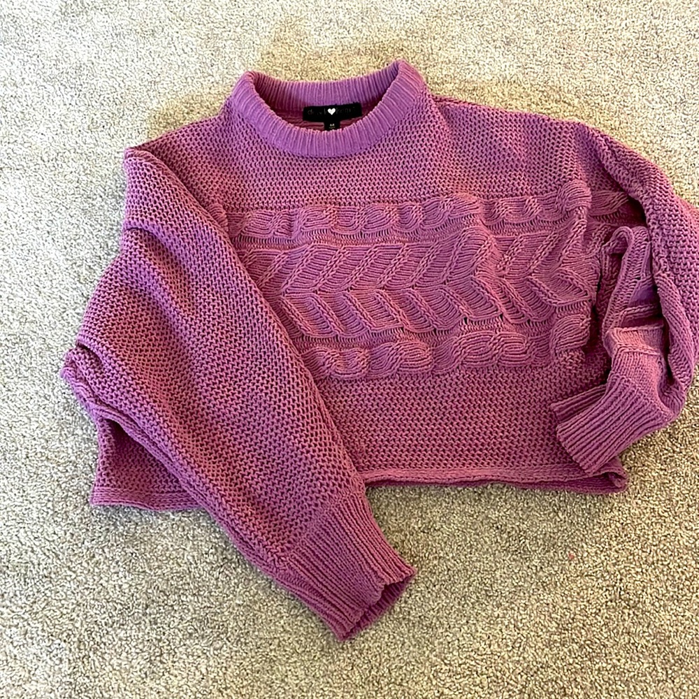 discovery purple sweater